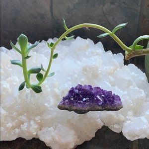 Raw cactus amethyst fridge magnet. Energetic 2.5”